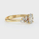 Solitaire accompagné diamant Divine Idylle - 23