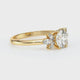 Solitaire accompagné diamant Divine Idylle - 19