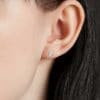 Boucles d'oreilles diamant puces
